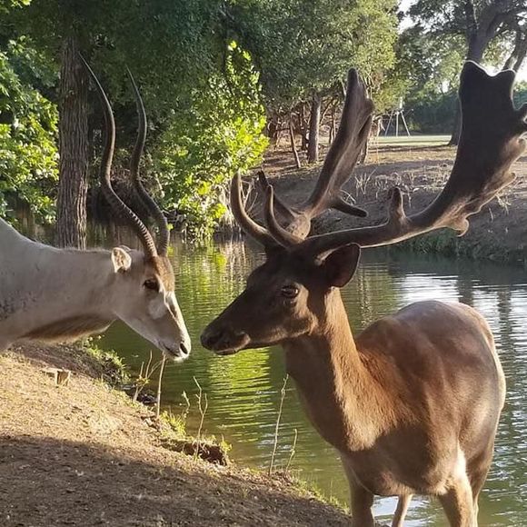 Meet your Posher, Michelle - Picture 1 of 1